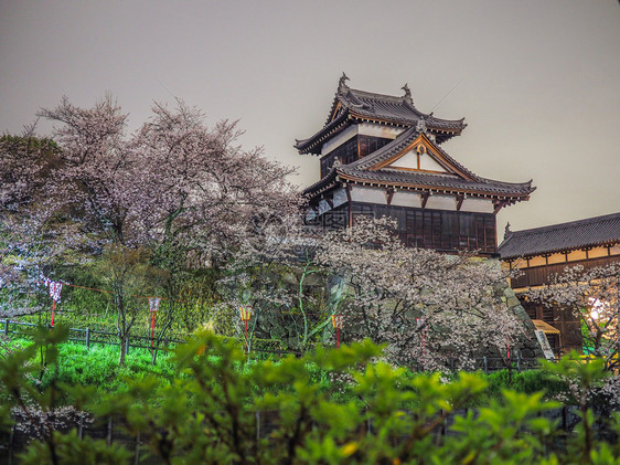 灯笼模糊盛开在纳拉有樱花的Koriyama城堡图片