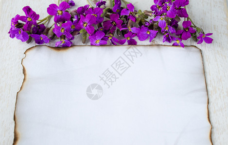 新鲜的假期房间在白色的木板上边缘燃烧着一张白纸紫色的花朵为文字留出了空间图片