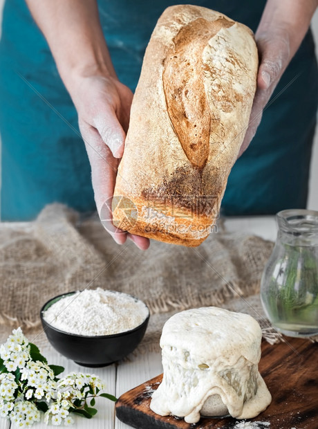黑麦自然女手握新鲜烘烤面包甜菜和的成分放在白木桌近身爱好上在家庭酸奶中烤小麦面包健康传统手工艺面包以及匠图片
