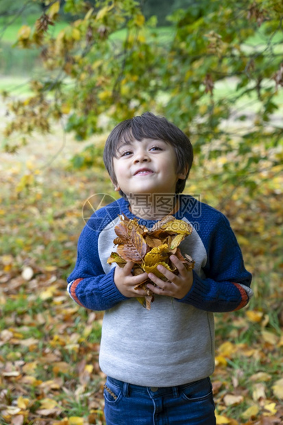 衣服喜悦微笑抱着秋叶的活生孩子准备抛空快乐的孩子在大树下玩耍可爱的小男孩穿着跳伞在秋天公园外面玩耍图片