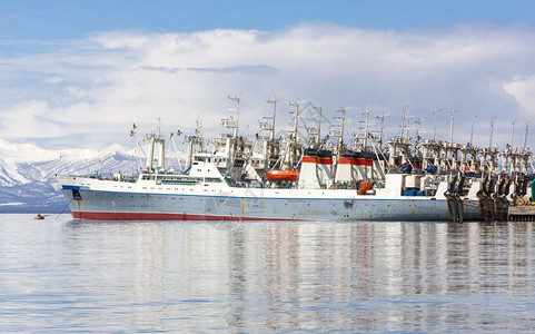 拖网渔船场景工业的在Kamchatka的Avacha湾码头附近捕鱼图片