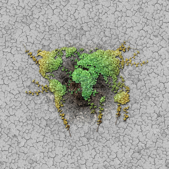 合成的树苗遭受干旱枯或涸土地进入丰富的潮湿有机土壤时气候变化危险或地球日和全升温循环地形为复合体的绿色植物日益壮大其变化危险或地图片