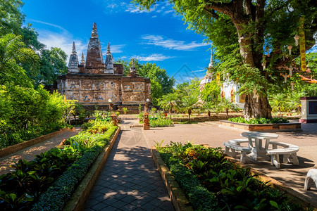 这是泰国清迈的主要旅游胜地20年6月清迈Temple清迈21的Templle20年6月日晚夜地面树老的图片