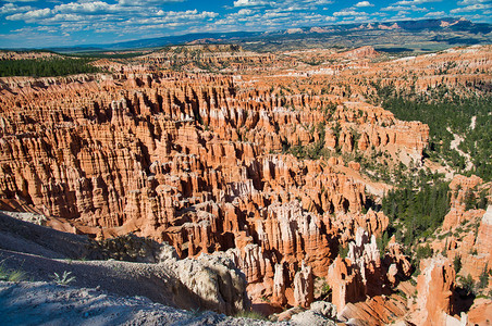 雄伟BryceCanyon公园夏季岩石地形图片