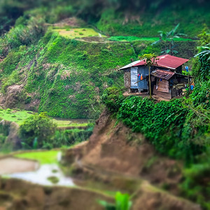 菲律宾的水稻梯田和村庄房屋模型特写图片
