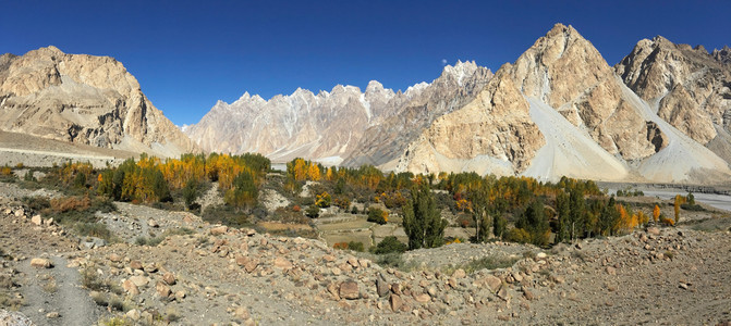 户外绿色远足巴基斯坦吉尔特俾提斯坦Hunza山谷的Karakoram山脉周围环绕着蓝色天空和黄叶花粉树图片
