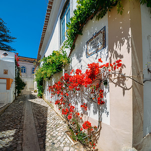 常春藤鹅卵石葡萄牙里斯本地区卡凯的狭窄舒适和美丽的街道葡萄牙里斯本区在春日与布永维尔的植物一起在阳光明媚的葡萄牙里斯本地区卡凯的图片