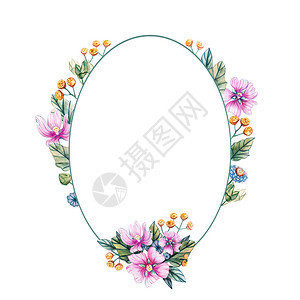 带有椭圆形野花框架的水彩插图用于婚礼带有粉红色花朵叶子和锦葵花蕾的卉卡片秋季夏和春有一个地方可以放置文字框架用于婚礼与水彩花的植图片