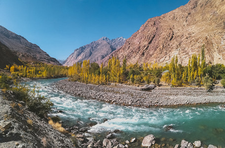 印度教鹅卵石自由吉特河穿过古皮斯在巴基坦吉尔特Baltistan的Ghizer秋天看到兴都库什山脉和树木图片