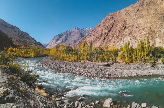 印度教鹅卵石自由吉特河穿过古皮斯在巴基坦吉尔特Baltistan的Ghizer秋天看到兴都库什山脉和树木图片