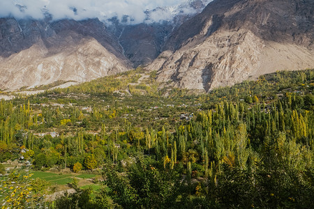 宁静天线巴基斯坦GilgitBaltistan背景的卡拉科姆山脉上充满云雾和雪盖山的绿林景色一片美丽的绿色森林景象生态图片