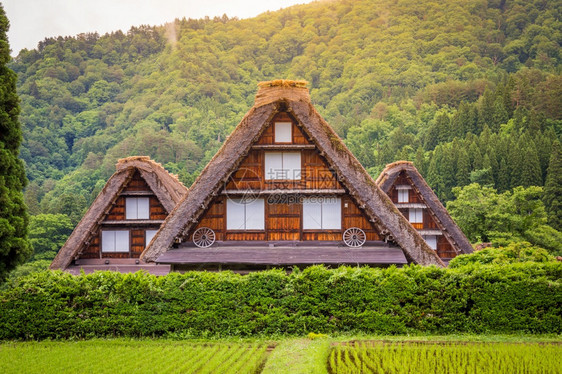 自然由于Gasshozukuri传统房屋在日本吉孚县Gokayama的日本传统和历史村Shirakawago由于Gasshozu图片