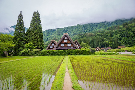 旅游自然天空由于Gasshozukuri传统房屋在日本吉孚县Gokayama的日本传统和历史村Shirakawago由于Gass图片