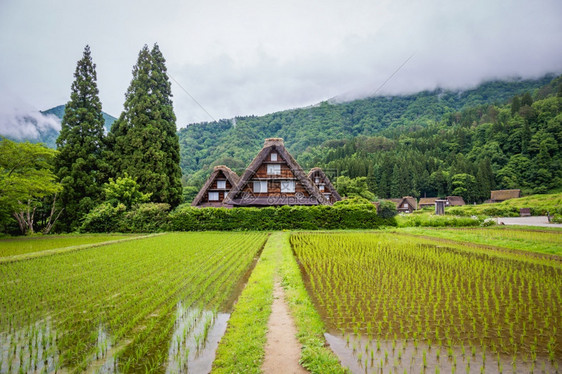 旅游自然天空由于Gasshozukuri传统房屋在日本吉孚县Gokayama的日本传统和历史村Shirakawago由于Gass图片