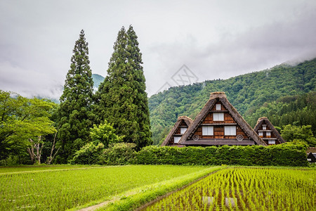 五箇山合掌造自然由于Gasshozukuri传统房屋在日本吉孚县Gokayama的日本传统和历史村Shirakawago由于Ga图片