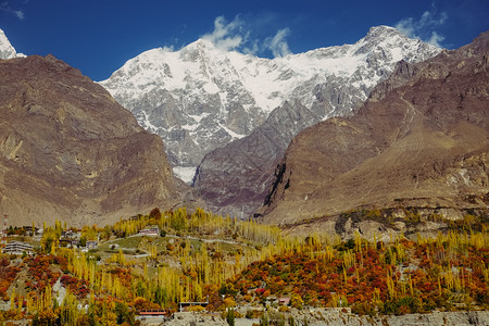 风景罕萨巴基斯坦HunzaValleyGilgitBaltistan卡拉科姆山脉的乌塔尔萨峰雪冠对森林中多彩树木的秋天自然景观封图片