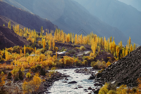 公园巴基斯坦GilgitBaltistan印度库什山脉的GupisGhizer山谷一带秋季黄叶树的美丽自然景观色以背为重点沿着自图片