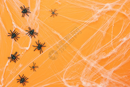 孩子们天线可怕的在橙色纸质空间用于创意设计的黑蜘蛛白网上展示黑蜘蛛白丝基本物件时使用Flat外线配件概念的天体图像表顶端视供在橙图片