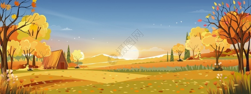 景观枫黄昏的秋天农村风景日落蓝和橙色的天空背景图示卡通秋季节在农村林树和草田日出回翻自然横幅全景图片