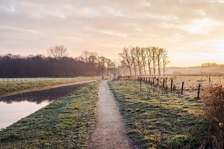 春天黎明土地日落时有新鲜草的梦幻般平静河流荷兰清晨寒冷的一天中美丽绿色冬季景观图片