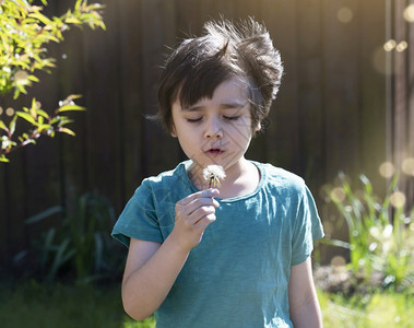童年晴天情感可爱的小男孩肖像用阳光明亮的照吹dandelion活跃的孩子在户外弹春或ummer玩耍儿童在花园休息时放松隔离期间的图片