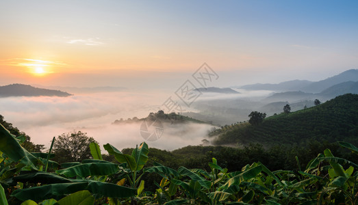 泰国永海省PhuHuaiIsan山区风景的湄公河上日出时雾大丰富多彩的桑昆蓝色图片