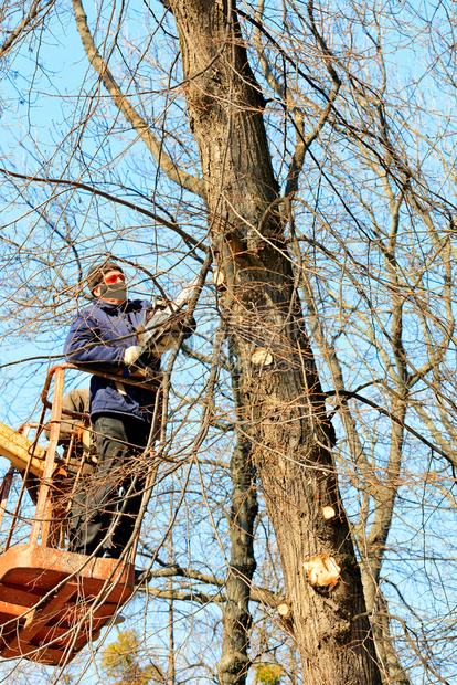 护目镜面罩和西装的林业工人在起重绞盘和电锯的帮助下对城市公园的树木进行卫生修剪垂直图像一组林业工人在城市公园对树木进行卫生修剪垂图片
