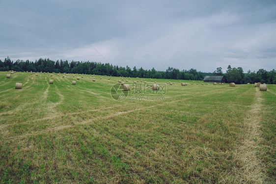 2019年7月日左右的草地干卷和树木旅行照片劳斯莱草原天图片