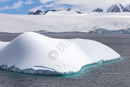 水偏绿南极洲有冰川在山前闪耀着松动的绿宝石冰山松图片