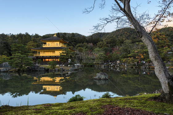 观光艺术池塘日本京都金殿寺的津阁吉目光闪烁图片