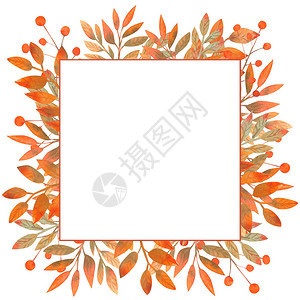 艺术水彩秋叶正方形边框图片