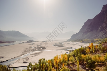 在巴基斯坦GilgitBaltistan的秋季天美丽叶子背景下流经斯卡杜Katpana寒冷沙漠的印度河风景山雾般的脉美丽树叶古吉图片