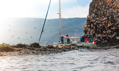 晒太阳年轻的七月2019年7日俄罗斯堪察卡Kamchatka在岛上附近的一艘游艇上乘船旅行的游者观看海狮在岛上附近的一艘游艇上乘图片