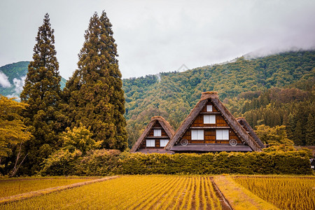 州著名的由于Gasshozukuri传统房屋在日本吉孚县Gokayama的日本传统和历史村ShirakawagoGokayama图片
