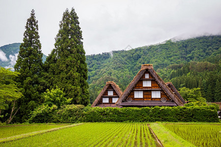 季节美丽由于Gasshozukuri传统房屋在日本吉孚县Gokayama的日本传统和历史村ShirakawagoGokayama图片