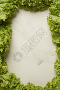 蔬菜概念很多绿色生菜叶子都放在白色的底背景上有机的丰富多彩柚子图片