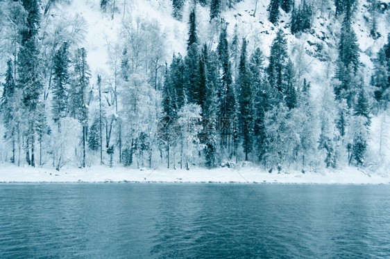 阴霾超过冬季河湖岸边附近的黑暗雪林周围有冰和冻的薄霜寒冷水面上含着冰和冻结的薄雾假期图片