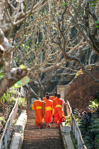 佛教新手僧侣走楼梯到老挝琅勃拉邦PhouSi山顶的后视图联合国教科文组织世界遗产小镇低角度视图简单的帕邦东方图片