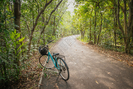 热带森林生态旅游业中夏季绿树叶在泰国孟加拉克绍斯里纳孔开兴汗公园的热带森林生态旅游业上在BangKrachao户外污染爱好图片