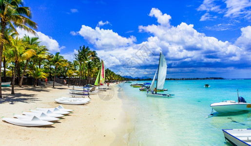 奢华Trouauxbiches毛里求斯岛体育活动最佳海滩之一伞树图片