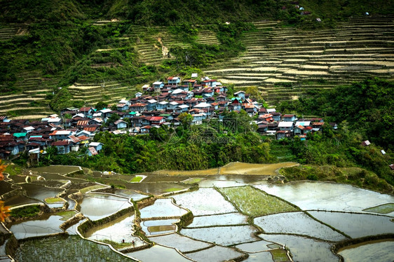 字段在米田边附近的村庄房屋惊人的抽象纹理天空在菲律宾伊富果省巴瑙埃水中闪烁多彩的反光镜子越南图片