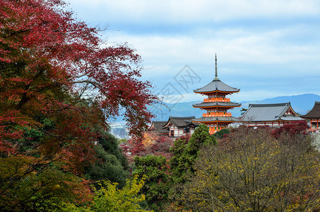 清水寺目的地日本京都清美津寺庙秋彩色风景东方的图片