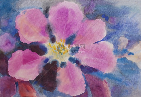 植物学花朵情人节原画新年贺卡壁纸鲜亮粉红紫玫瑰花和蓝色背景水彩画图解的蓝面色画印刷品风格图片
