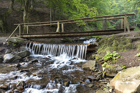 结石领导一座小型木桥在山坡之间的一片闪光野林中穿过山溪一条小木桥横跨喀尔巴阡山脉之间丘的厚岩层一条小河老图片