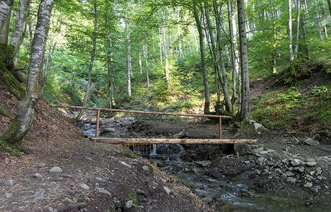一座小型木桥在山坡之间的一片闪光野林中穿过山溪一条小木桥横跨喀尔巴阡山脉之间丘的厚岩层一条小河丘陵连续下坡高地图片