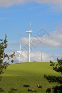 磨风力农场配有涡轮机为绿色发电提供力机来源图片
