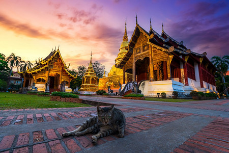 亚洲人宠物WatPhrraSingh的棕色树冠是一座佛教寺庙也是泰国北部清迈的一个主要旅游景点在黄昏的日落天空背景下受欢迎的图片