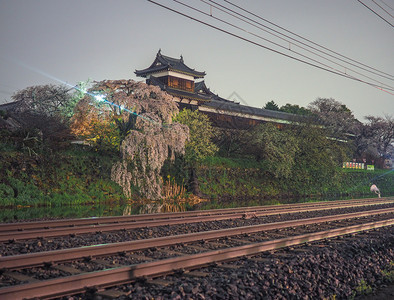 叶子火车户外高山城堡夜里有樱花在铁轨前图片