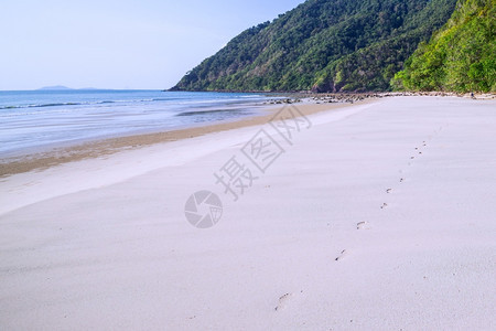 沙滩和热带海岸线涟漪高的图片