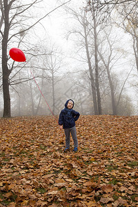 秋天公园落叶男孩穿着蓝色夹克和红气球散步男孩看着镜头和严酷的场景与男孩一起表达玩耍和情绪秋季公园流走丰富多彩的蒙图片